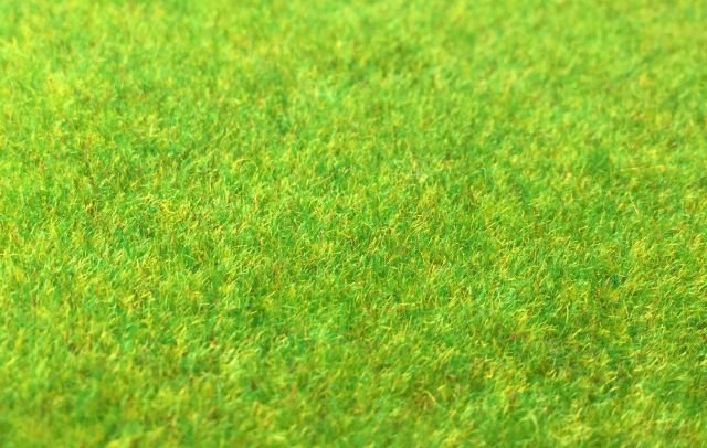 Jasart Model Grass 215x278mm Sheet