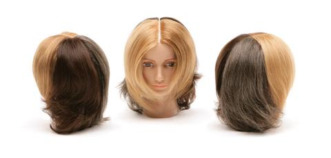 Snap Cap- Ladies Colour Quadrant