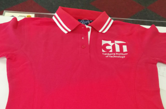 CIT Red  Polo shirt (Children's Services)