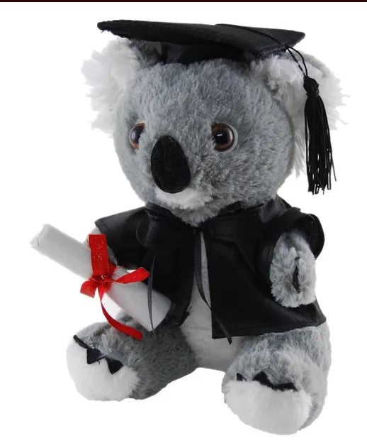 Koala Graduation Bear