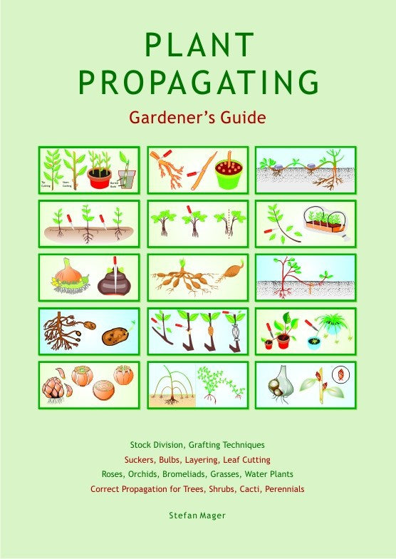 Plant Propagating Guide